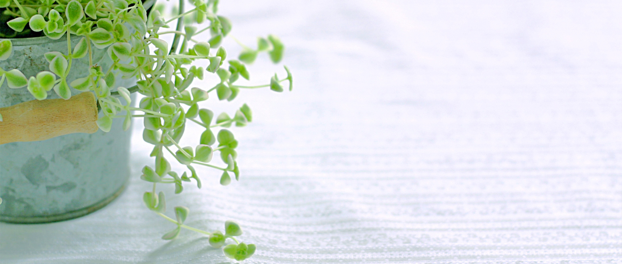 鹿児島市緑ケ丘町、緑ヶ丘団地中央停留所、内科・小児科